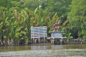 Trans Borneo Expedition 2014     